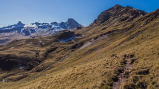 Flumserberg 7-Gipfel-Tour Gulmen