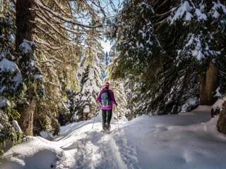 Schneeschuhwandern im Stockhorngebiet