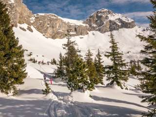 Schächentaler Höhenweg - Alp Selez