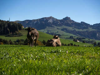 Alpenpanoramaweg Appenzell mit Hoher Kasten