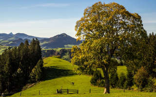 Alpenpanoramaweg Appenzeller Land