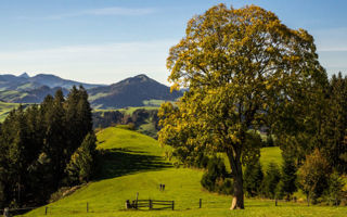 Der Alpenpanoramaweg – Ostschweiz