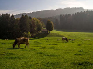 Alpenpanoramaweg Appenzell