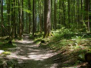 Klöntalersee Uferwanderung