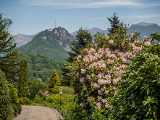 Park San Grato bei der Wanderung auf den San Salvatore