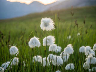 Horizontweg / Vier Seen Wanderung