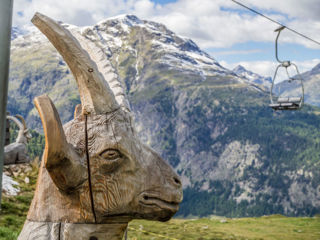 Von Muottas Muragl über die Alp Languard zur Chamanna Paradis