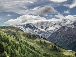 Alp Languard