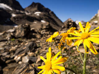 Hochgebirgslandschaft Griessee