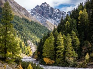Herbst im Val Trupchun: jetzt wird’s Wild!
