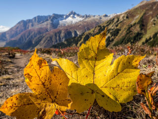 Bostg – Aussichtsberg bei Disentis