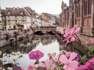 Colmar