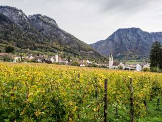 Bündner Herrschaft Malans