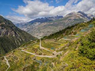 Visperterminen - Europas höchster Weinberg