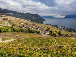Weinterrassen von Lavaux