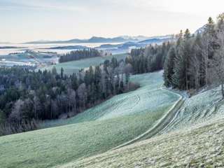 Kalter Wintermorgen in Menzberg