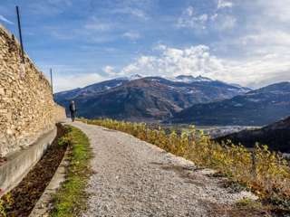Sion Bisse de Clavau
