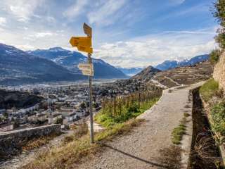 Sion Bisse de Clavau