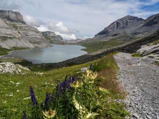 Daubensee