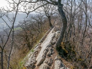 Über die Lägeren auf dem Jurahöhenweg