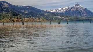 Naturschutzgebiet Weissenau