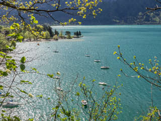 Boote Thunersee