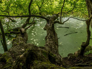 Naturschutzgebiet Gwattlischenmoos