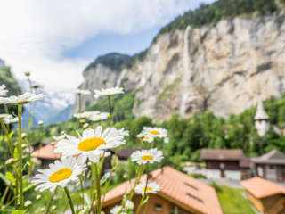 Lauterbrunnental