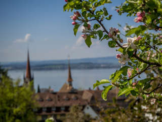 Alpenpanoramaweg Zentralschweiz - Zug