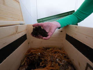 Wurmkiste Faustprobe