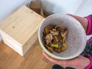 Wurmkiste erste Fütterung