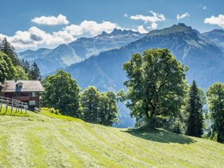 Der Braunwald Panoramaweg