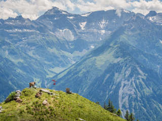 Braunwald Panoramaweg