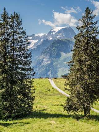 Braunwald Panoramaweg