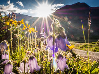 Simplonpass Sonnenuntergang