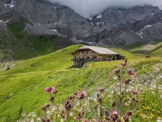 Panoramaweg Adelboden
