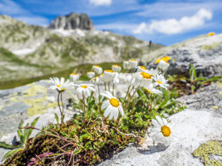 Vom Schneehüenerstock über den Lutersee zum Gütsch