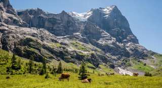 Wanderung Grosse Scheidegg