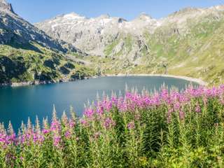 Gotthard Seenwanderung