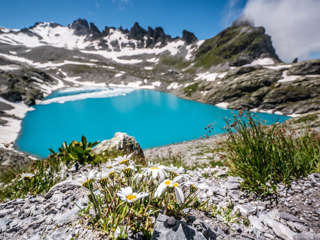 Blumen vor Wildsee