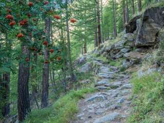 Almageller Höhenweg