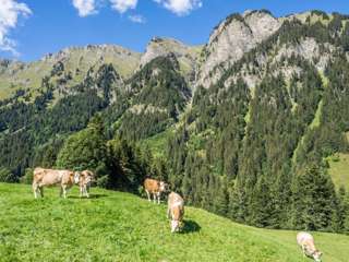 Abstieg nach Feutersoey