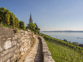 Rebenweg Bielersee Ligerz