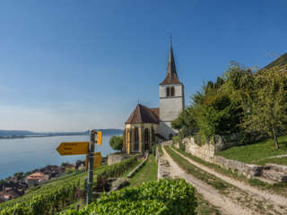Rebenweg Bielersee Ligerz
