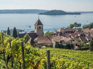 Rebenweg Bielersee Twann