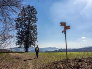 Aargauer Aussichtsweg Bööler