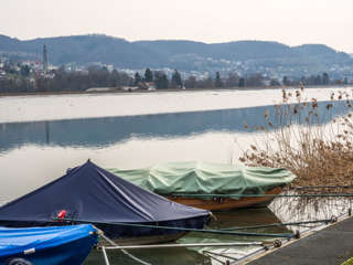 Klingnauer Stausee Fischen