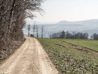 Jurapark Baumkapelle