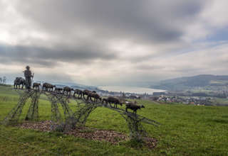 Eichberg Hallwilersee