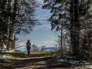 Aargauer Aussichtsweg Frühlingswanderungen Schweiz